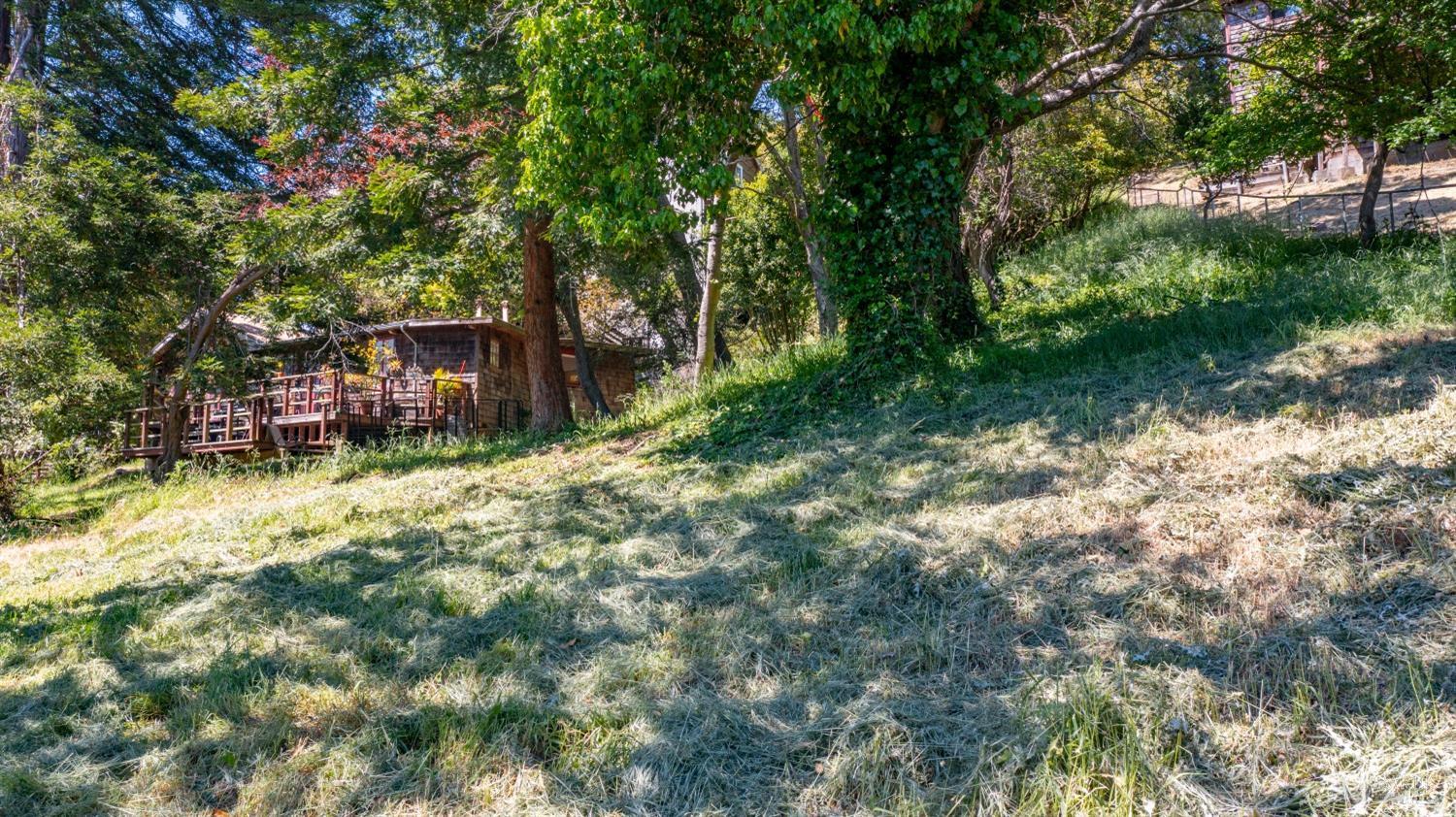 1165 Cragmont Avenue Berkeley CA 94708