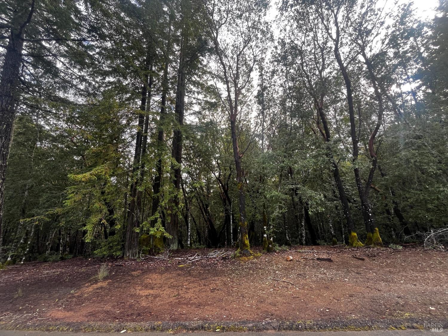 2149 Goose Road Willits CA 95490