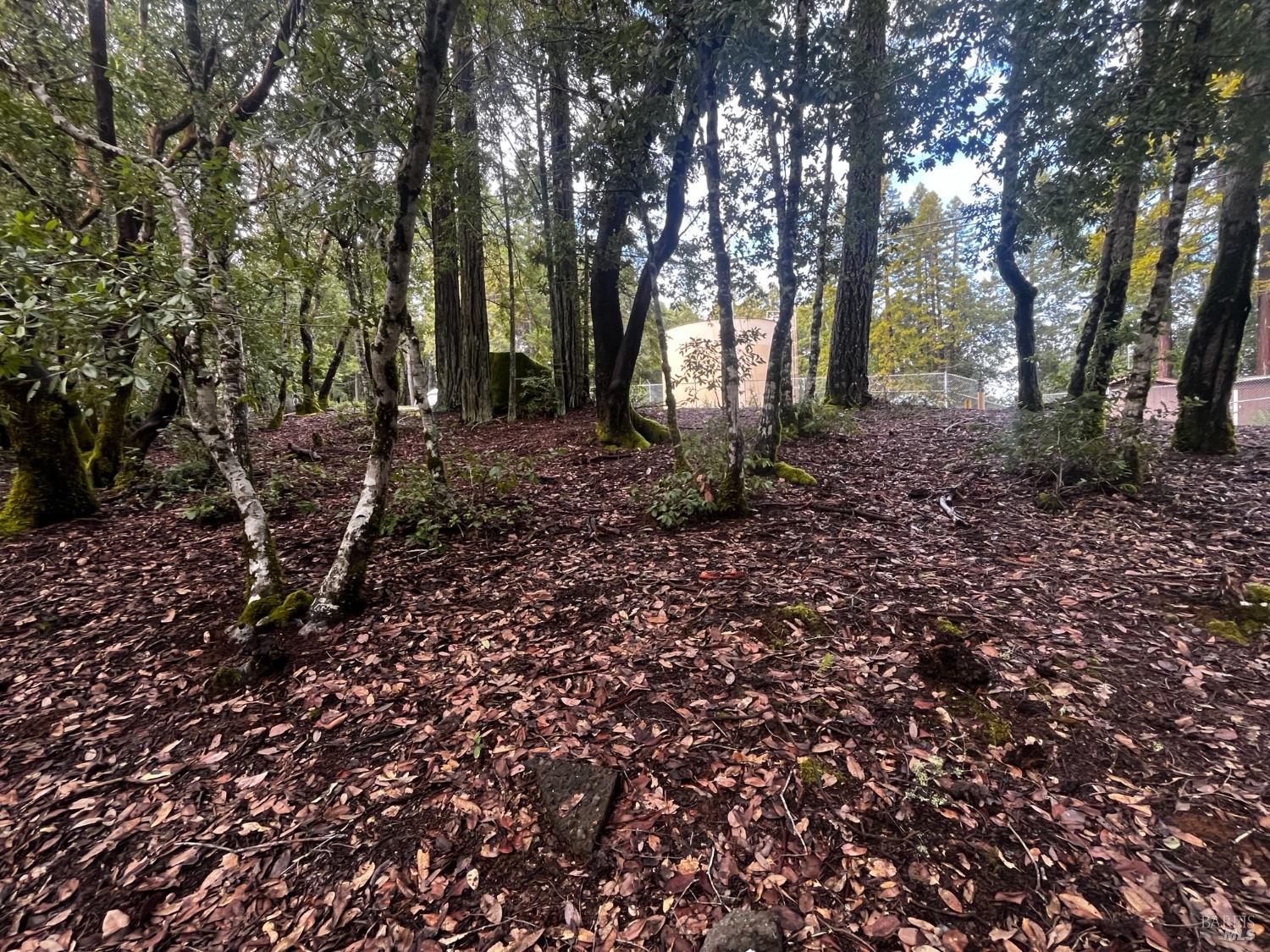 2149 Goose Road Willits CA 95490