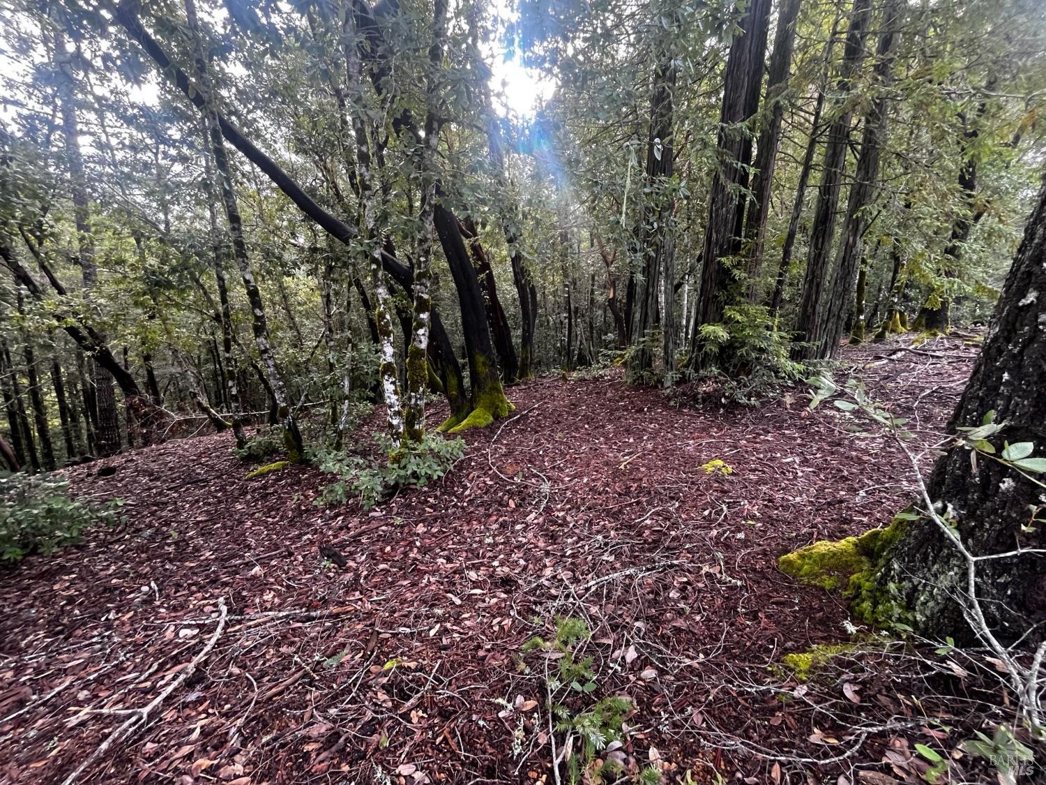 2149 Goose Road Willits CA 95490