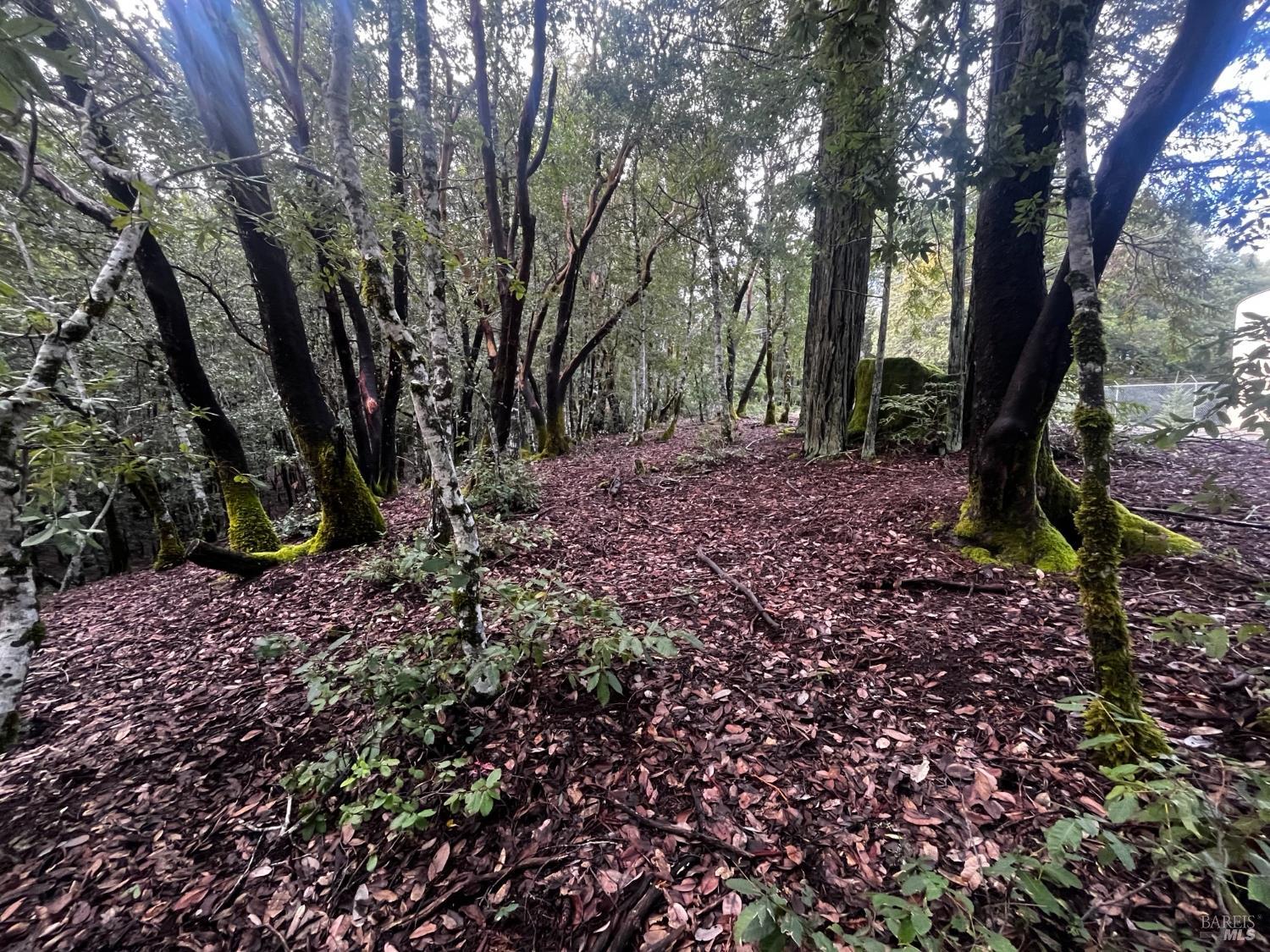 2149 Goose Road Willits CA 95490
