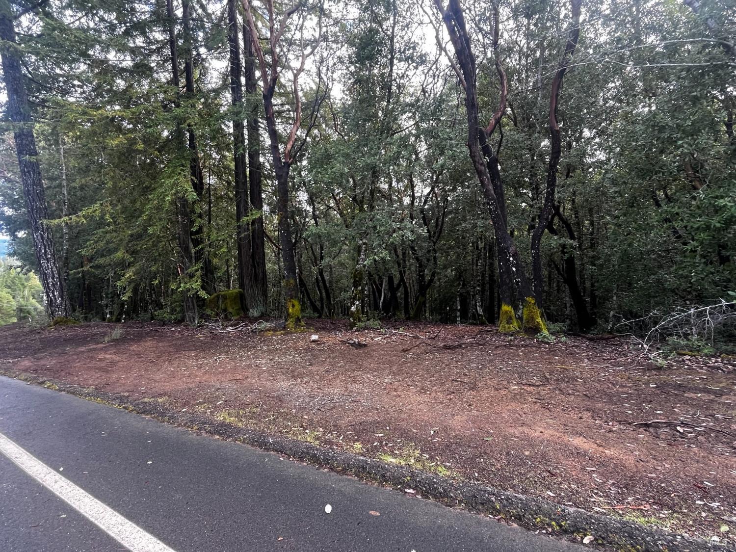 2149 Goose Road Willits CA 95490