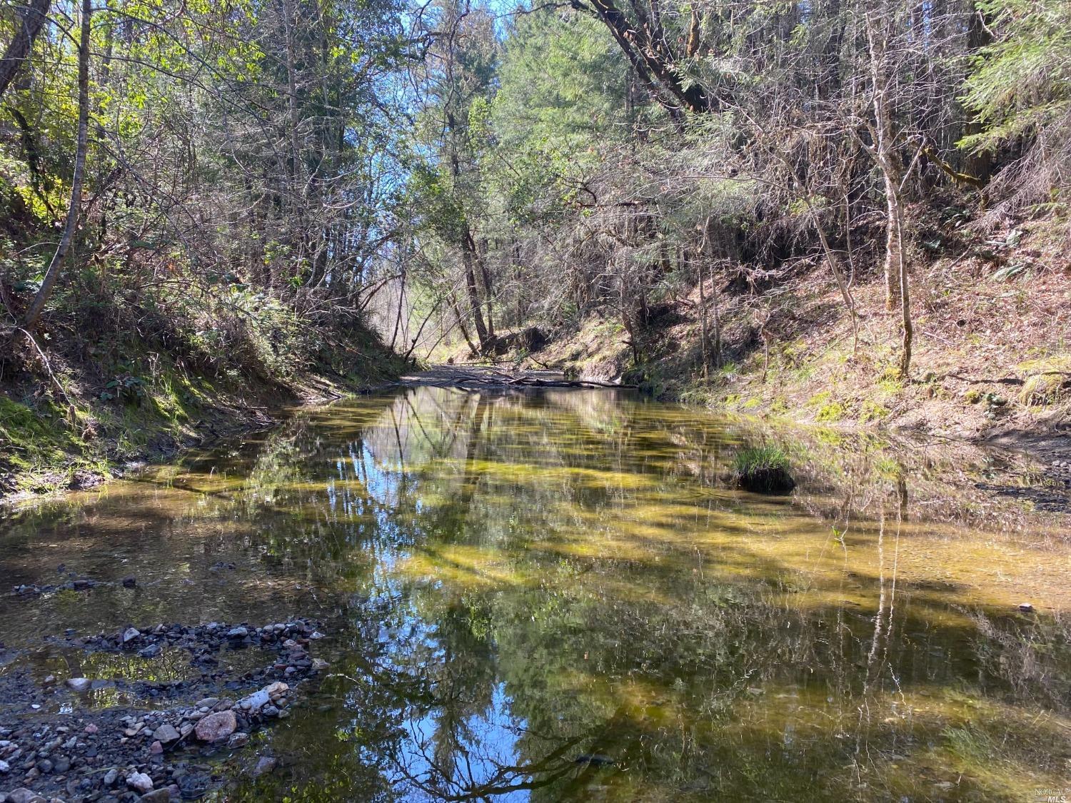 410 Mulligan Lane Laytonville CA 95454