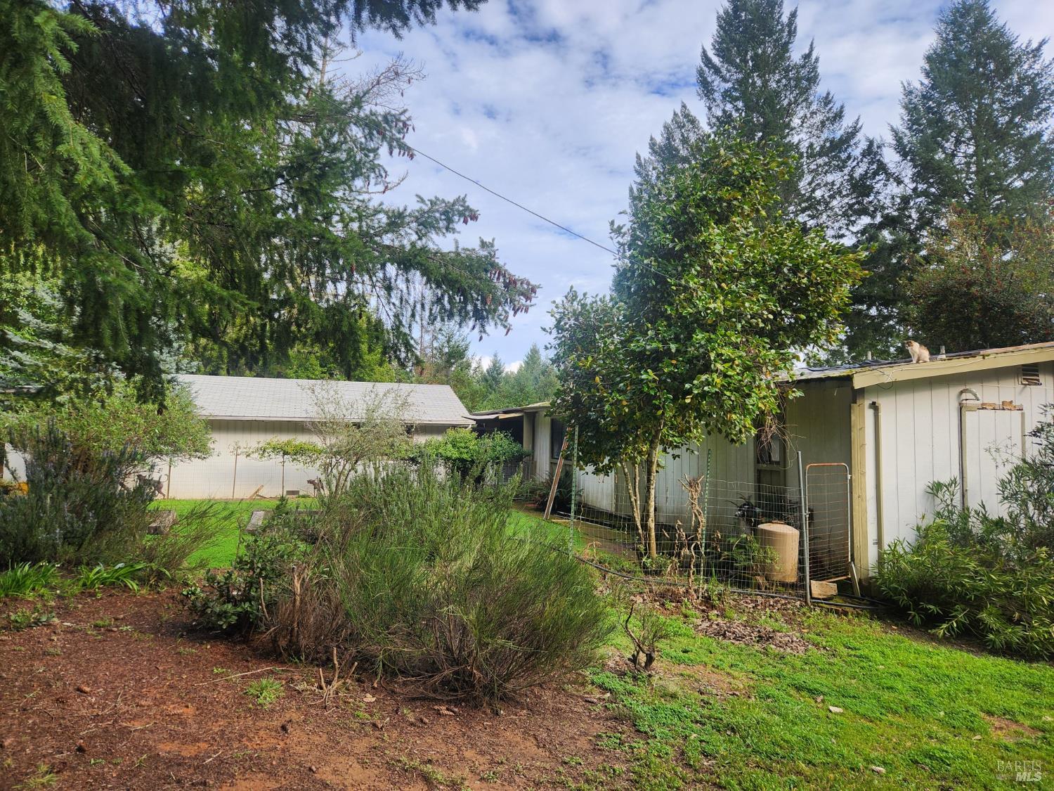 23606 Primrose Avenue Willits CA 95490
