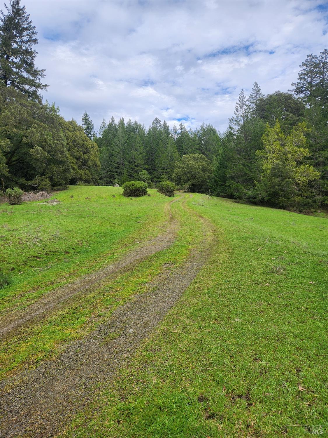 23606 Primrose Avenue Willits CA 95490