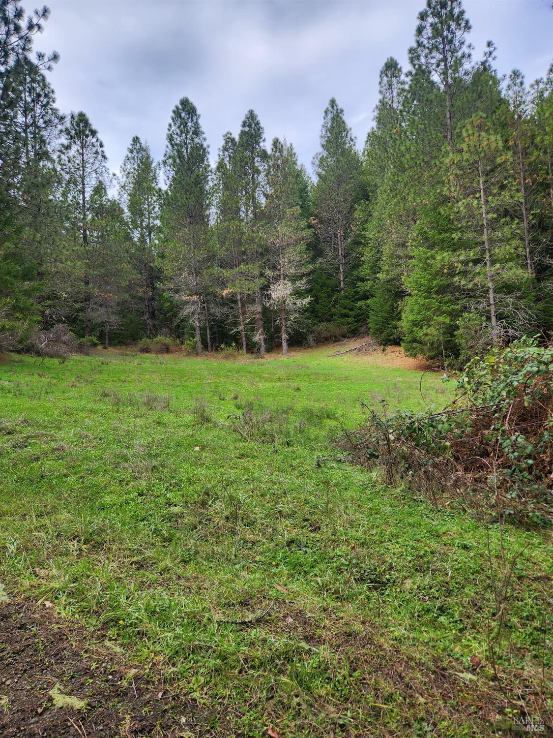 23606 Primrose Avenue Willits CA 95490