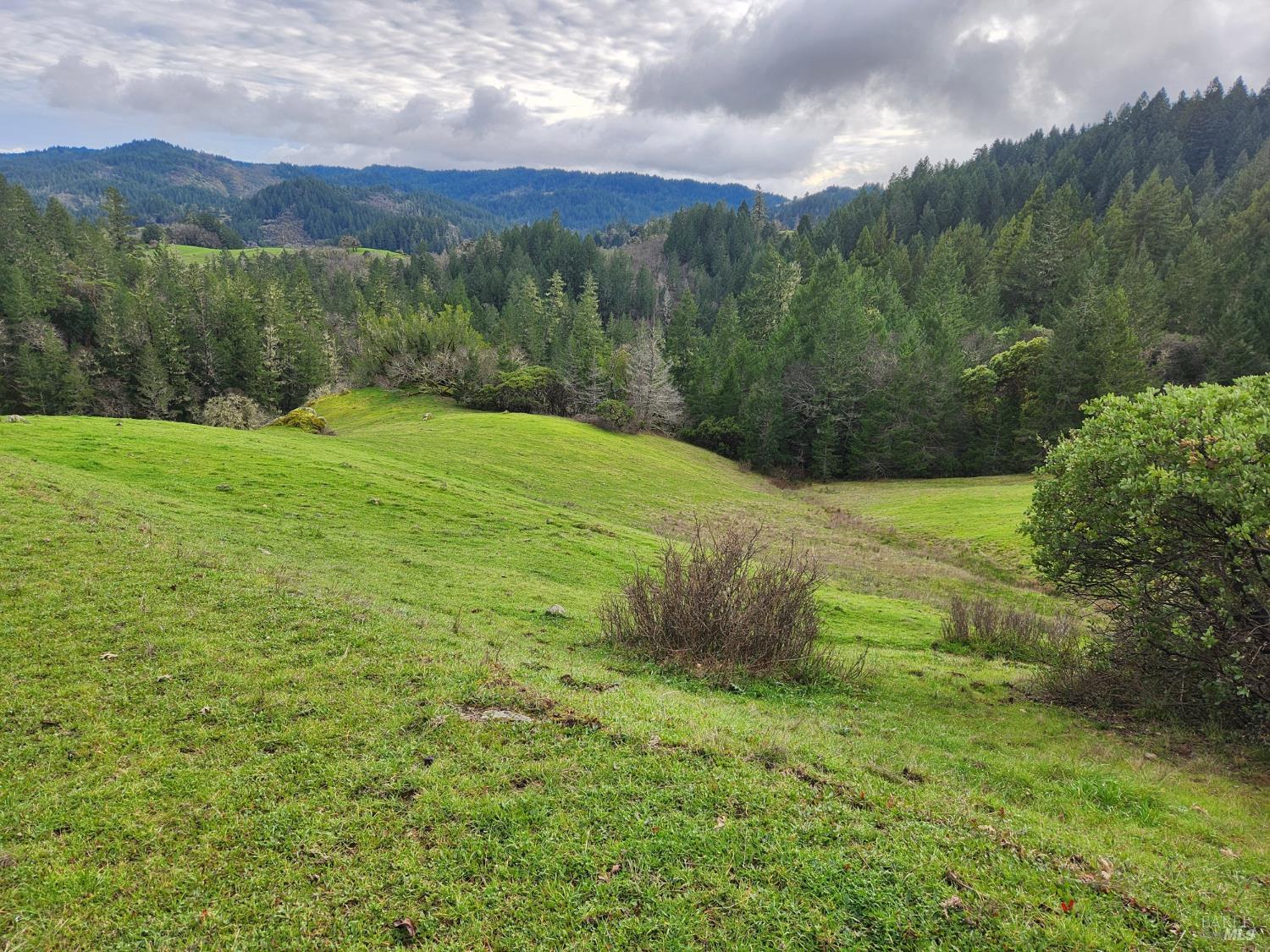 23606 Primrose Avenue Willits CA 95490
