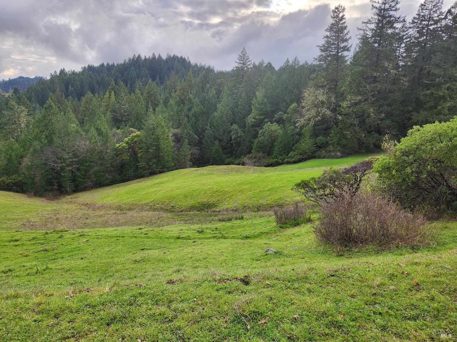 23606 Primrose Avenue Willits CA 95490