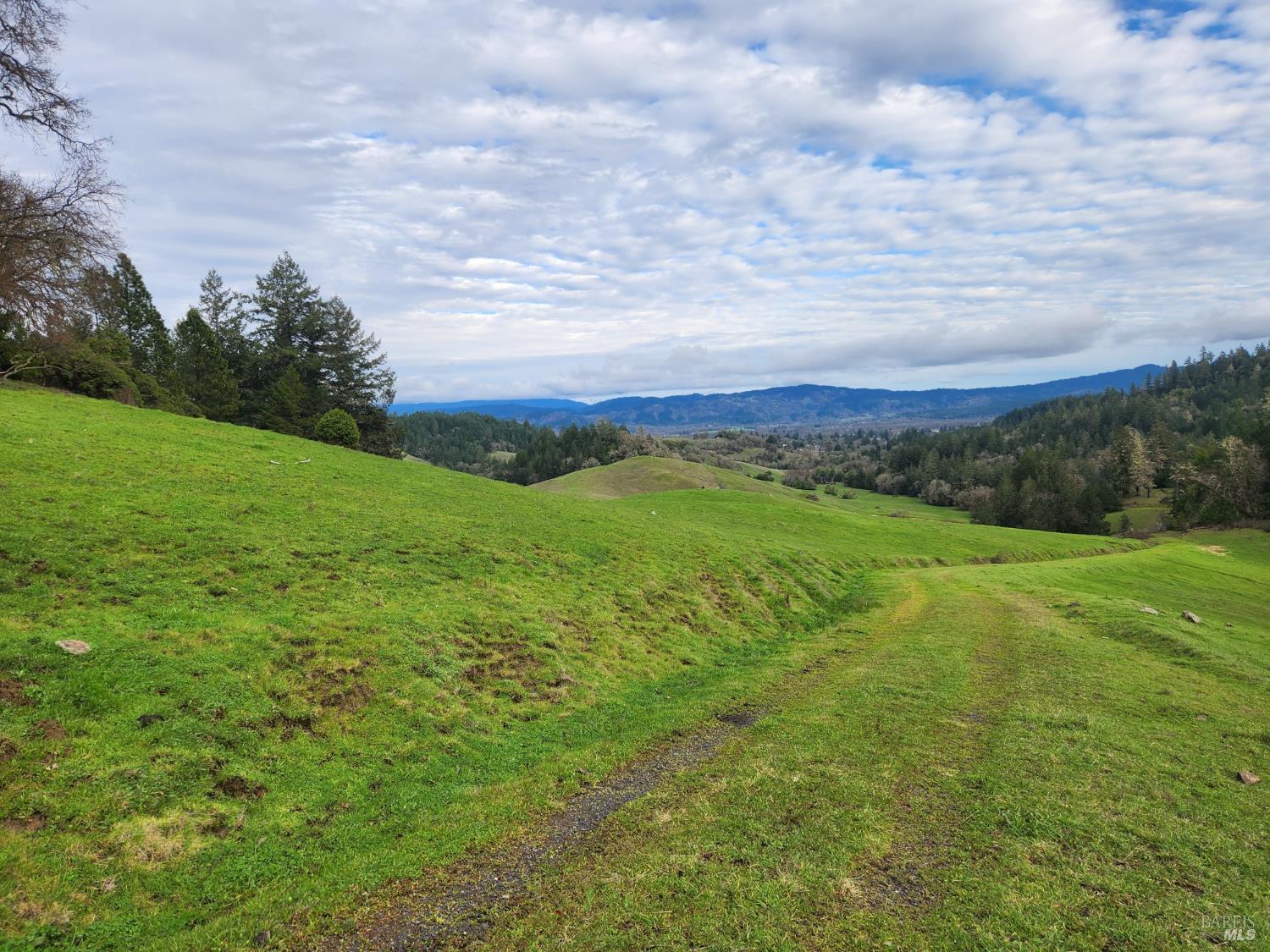 23606 Primrose Avenue Willits CA 95490