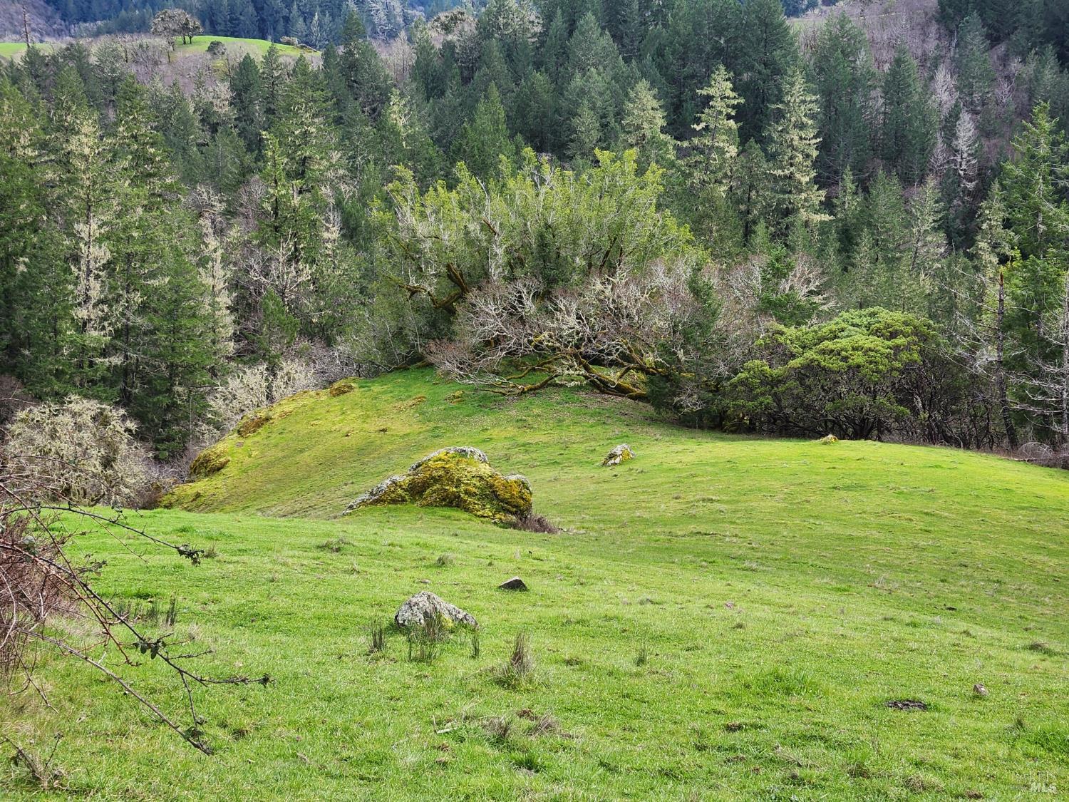 23606 Primrose Avenue Willits CA 95490