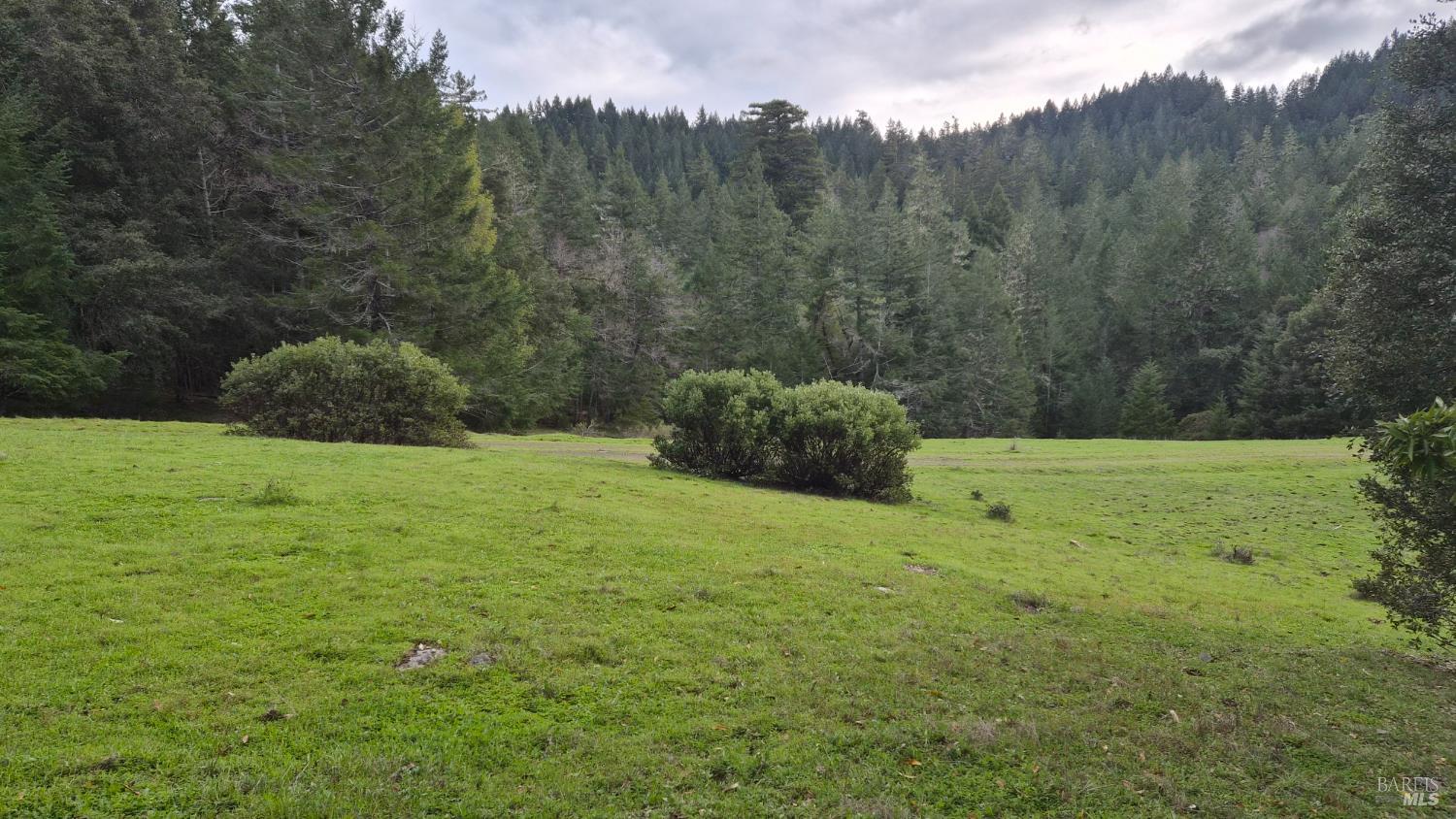 23606 Primrose Avenue Willits CA 95490