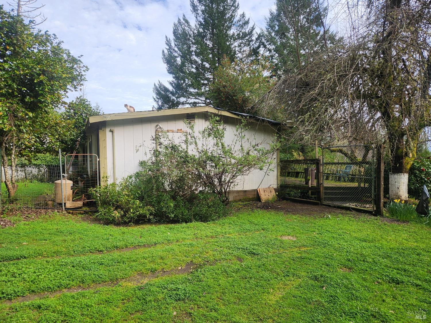 23606 Primrose Avenue Willits CA 95490