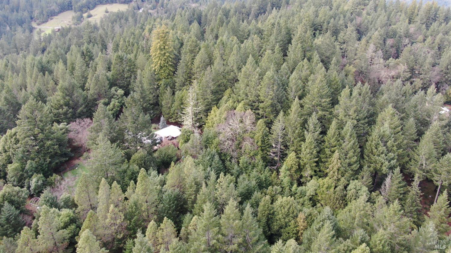 23606 Primrose Avenue Willits CA 95490