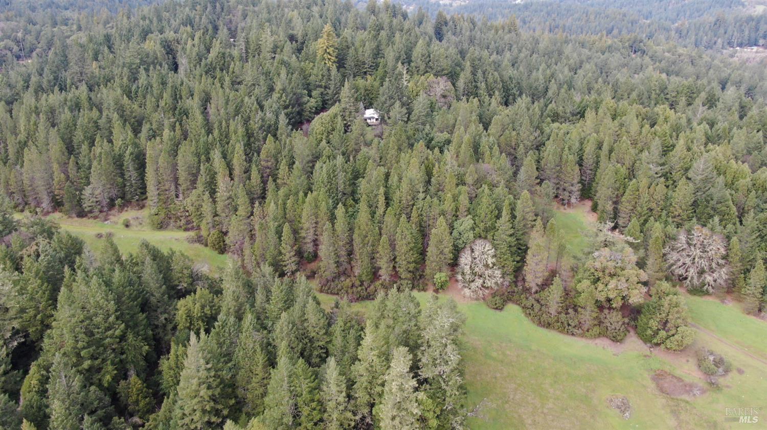 23606 Primrose Avenue Willits CA 95490