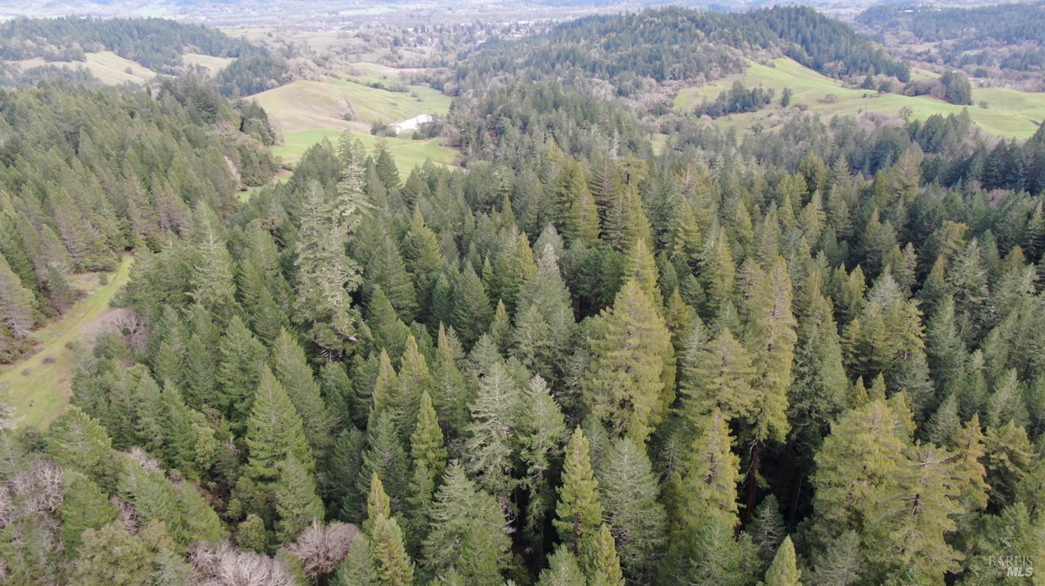 23606 Primrose Avenue Willits CA 95490