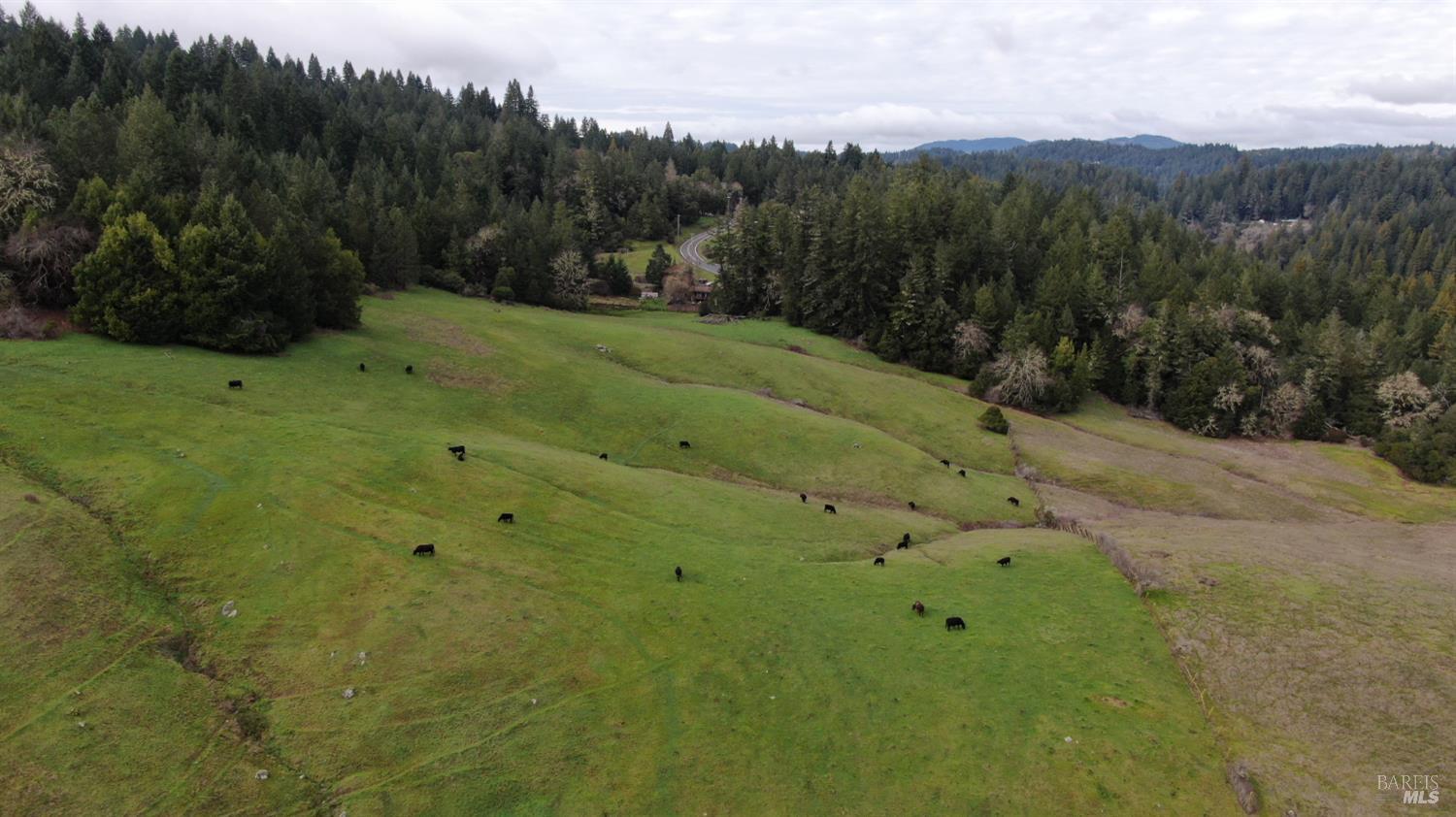 23606 Primrose Avenue Willits CA 95490