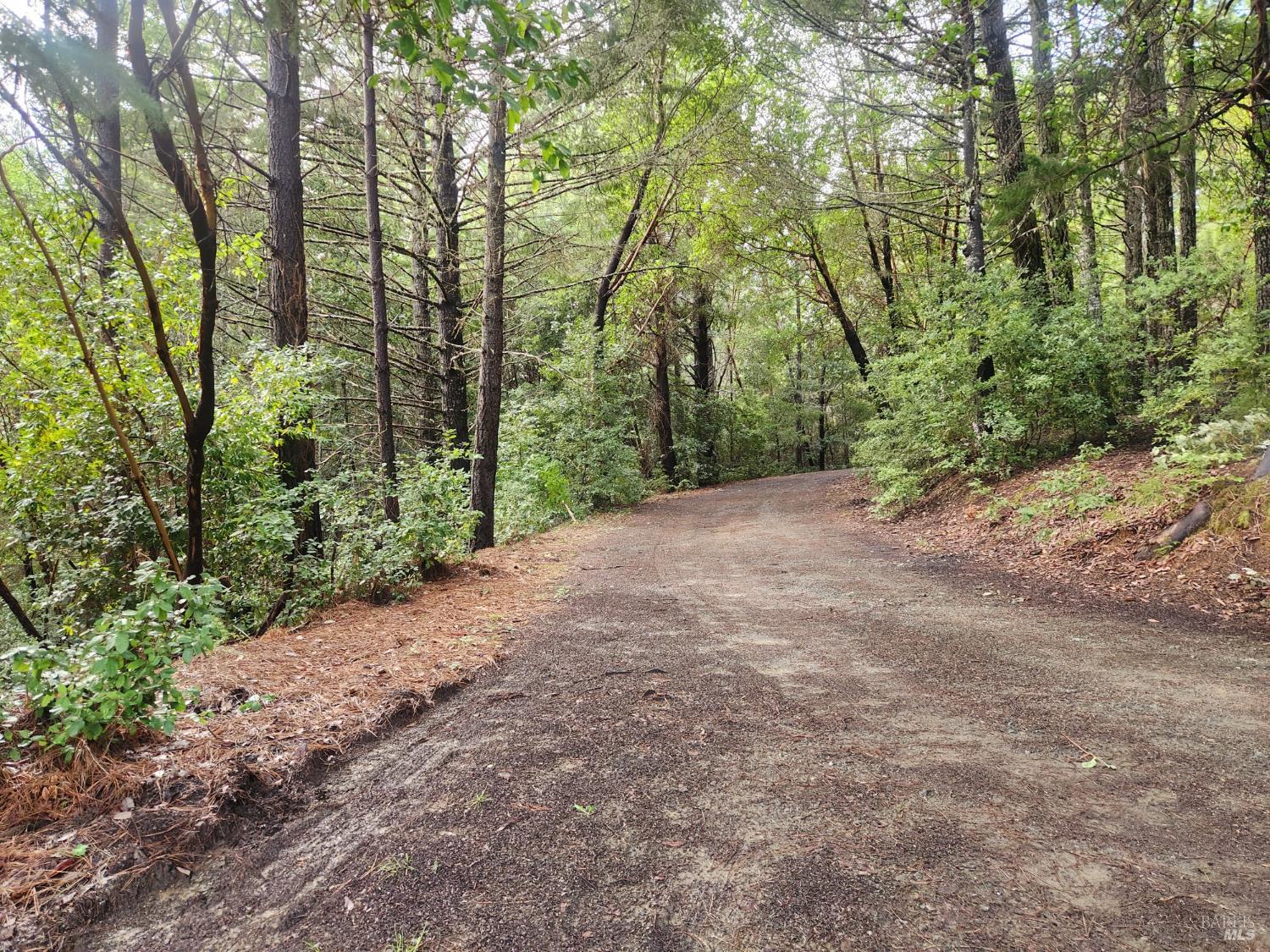 23606 Primrose Avenue Willits CA 95490