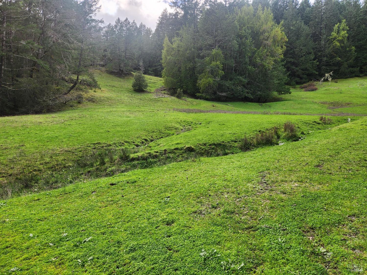 23606 Primrose Avenue Willits CA 95490