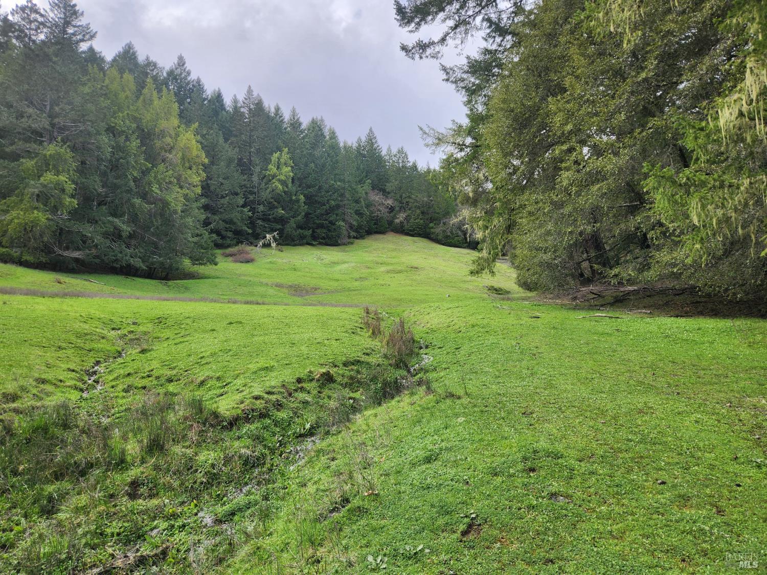 23606 Primrose Avenue Willits CA 95490