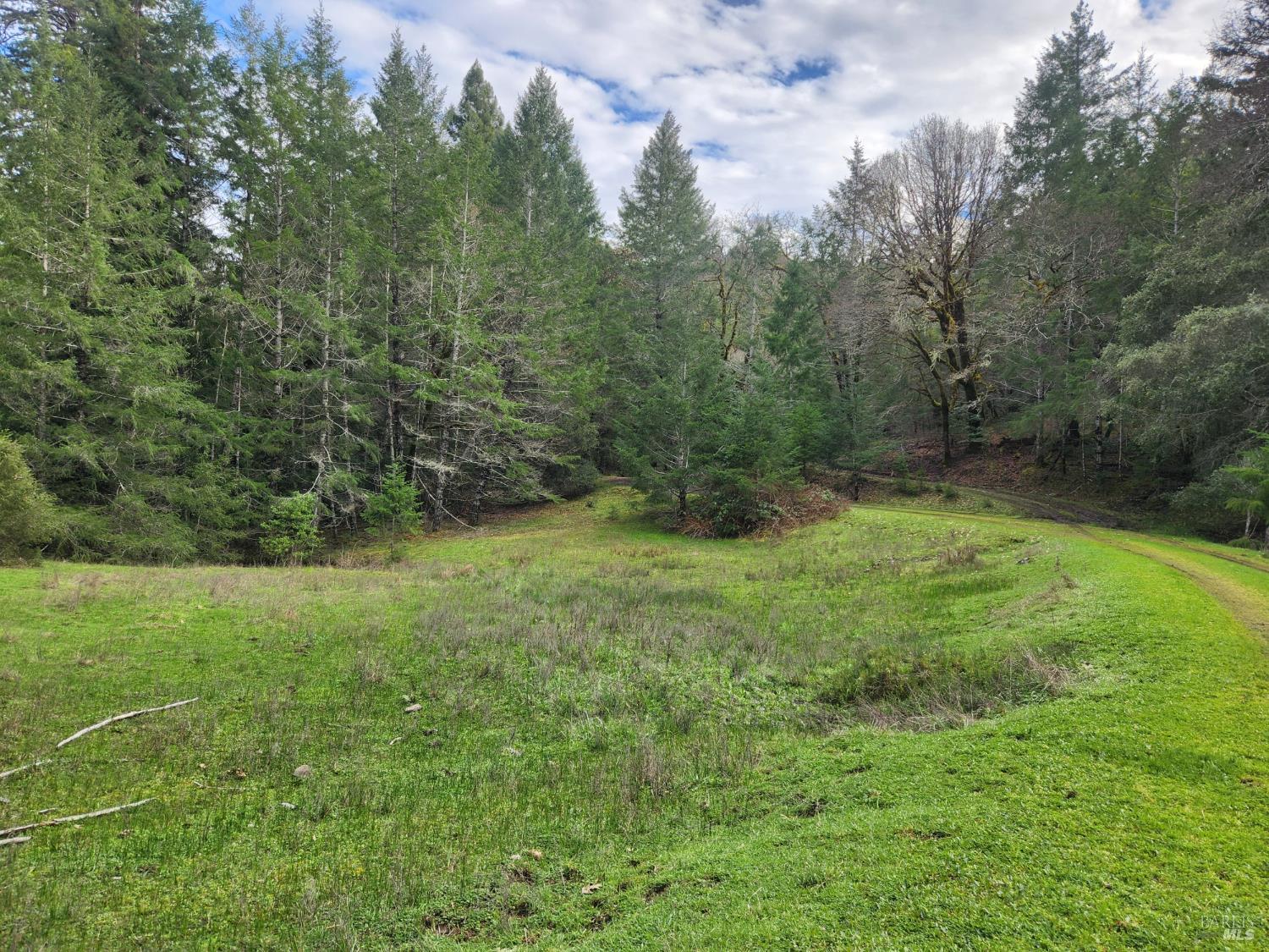 23606 Primrose Avenue Willits CA 95490