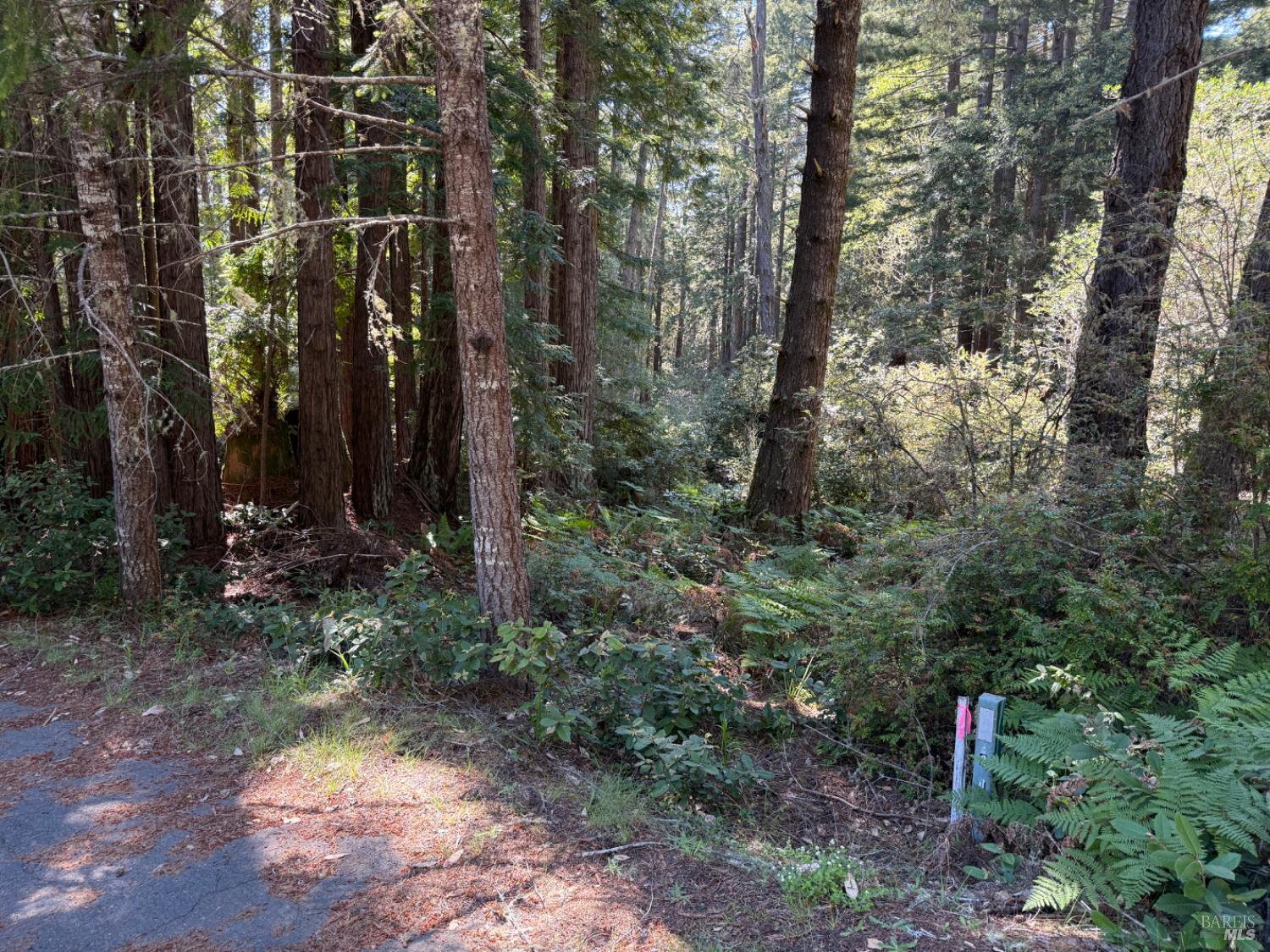 369 Big Tree Close Road The Sea Ranch CA 95497