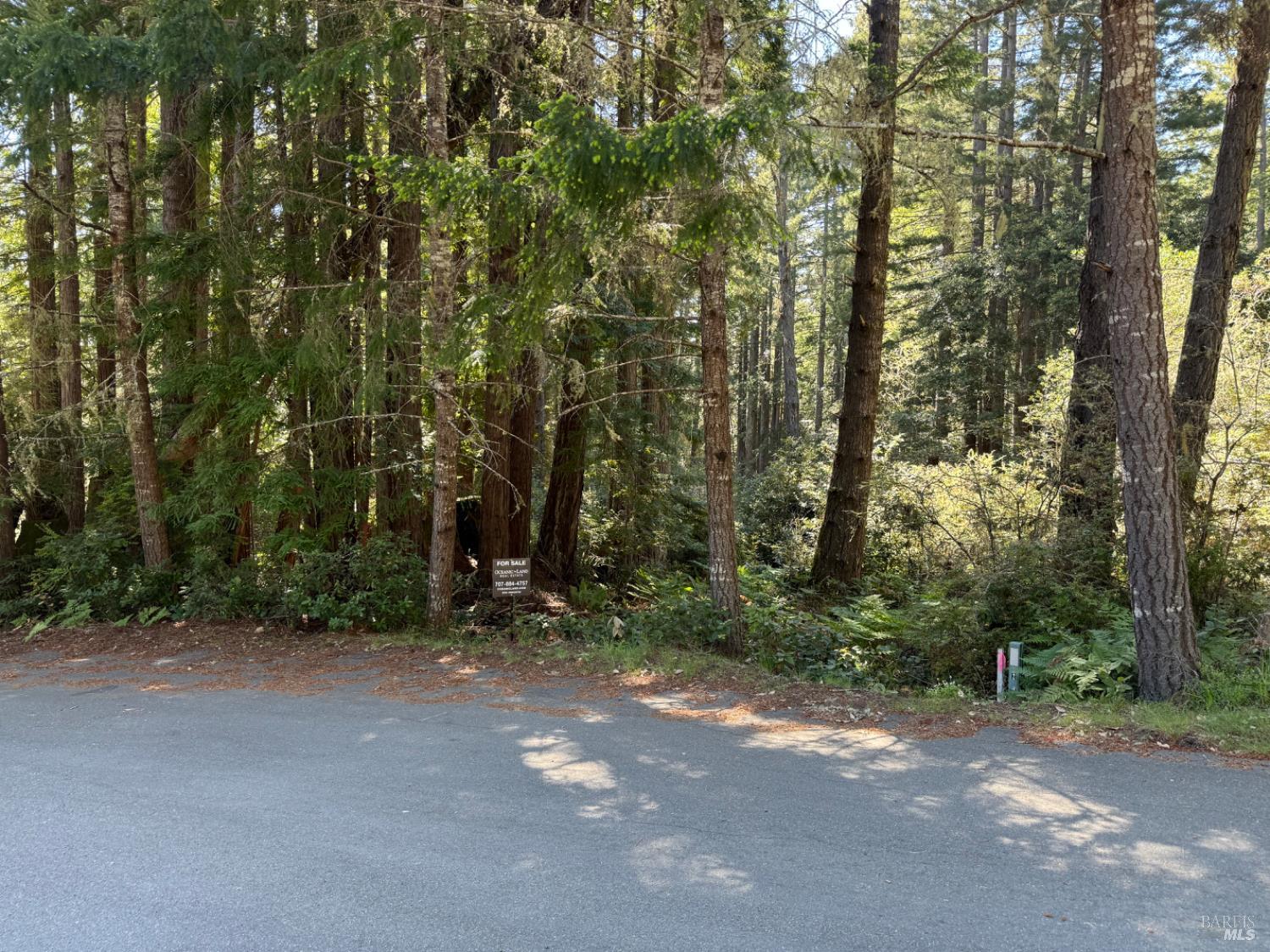 369 Big Tree Close Road The Sea Ranch CA 95497