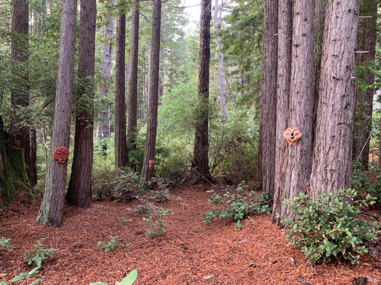369 Big Tree Close Road The Sea Ranch CA 95497