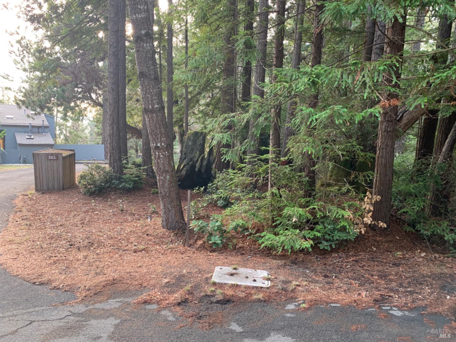 369 Big Tree Close Road The Sea Ranch CA 95497