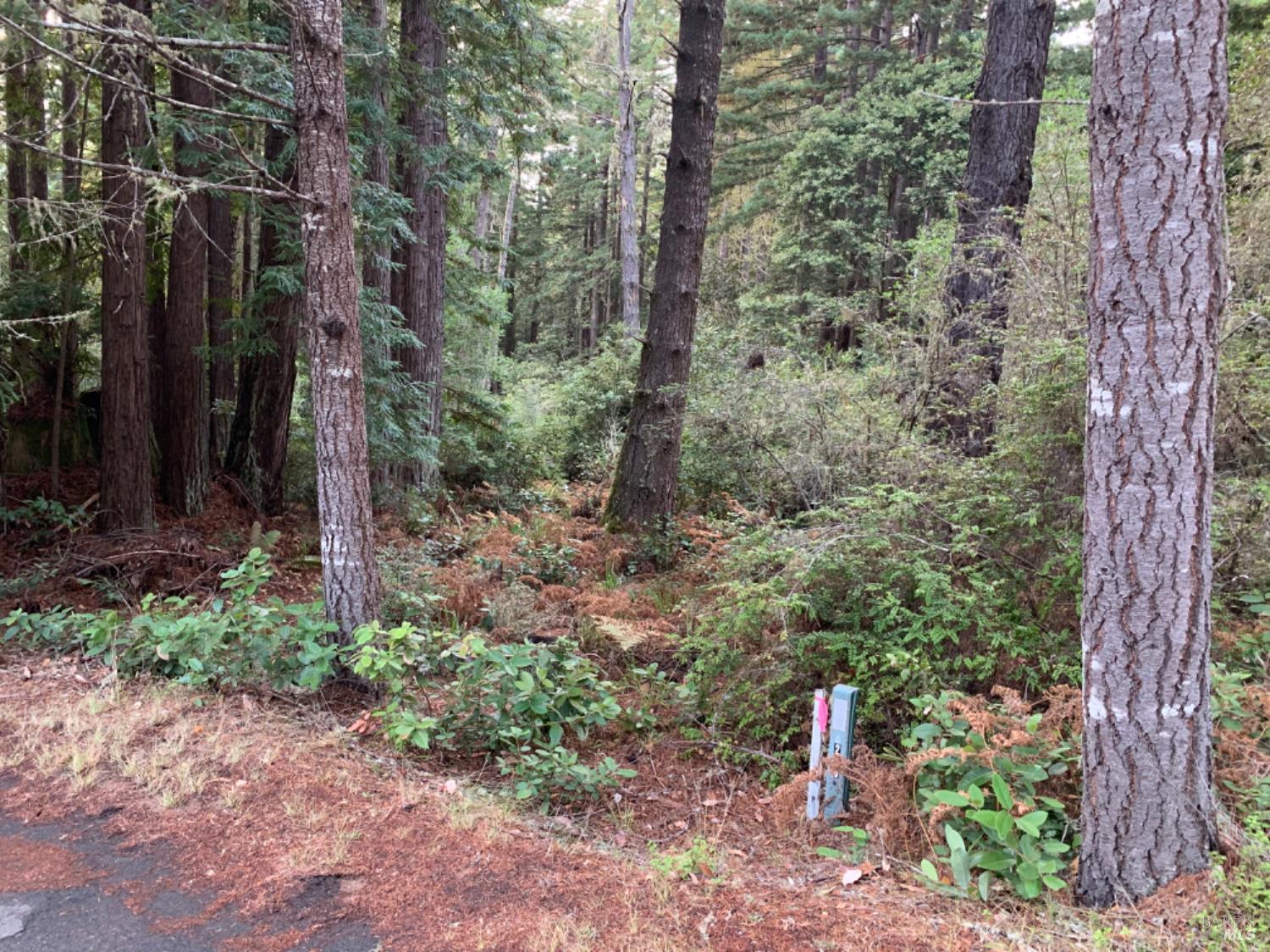 369 Big Tree Close Road The Sea Ranch CA 95497