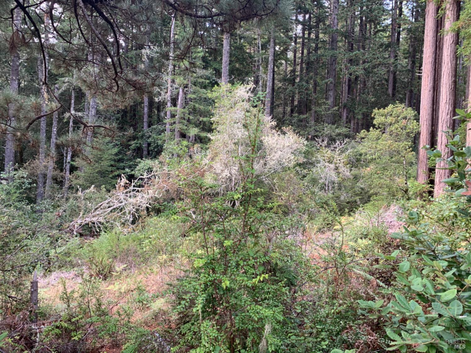 369 Big Tree Close Road The Sea Ranch CA 95497