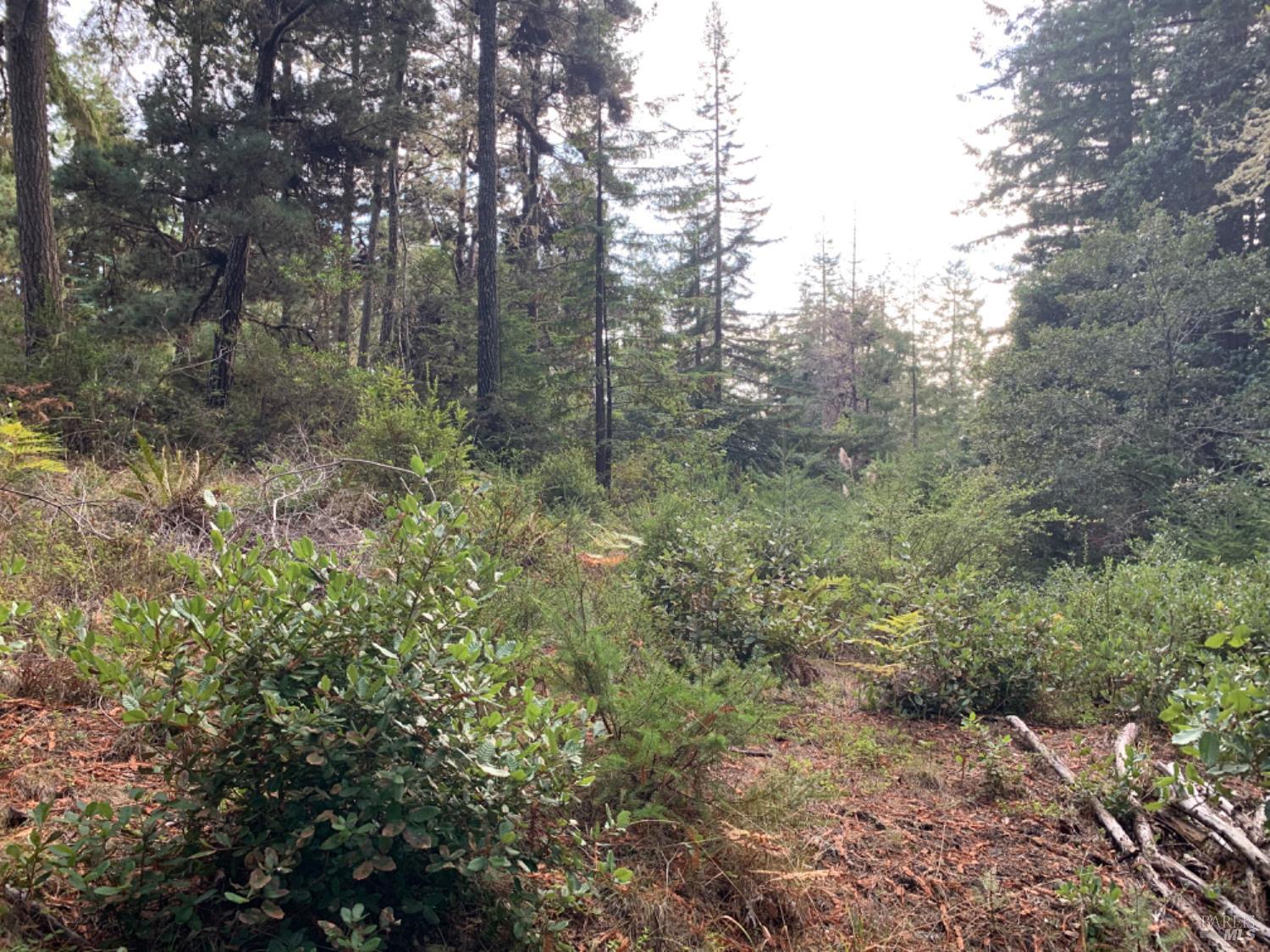 369 Big Tree Close Road The Sea Ranch CA 95497