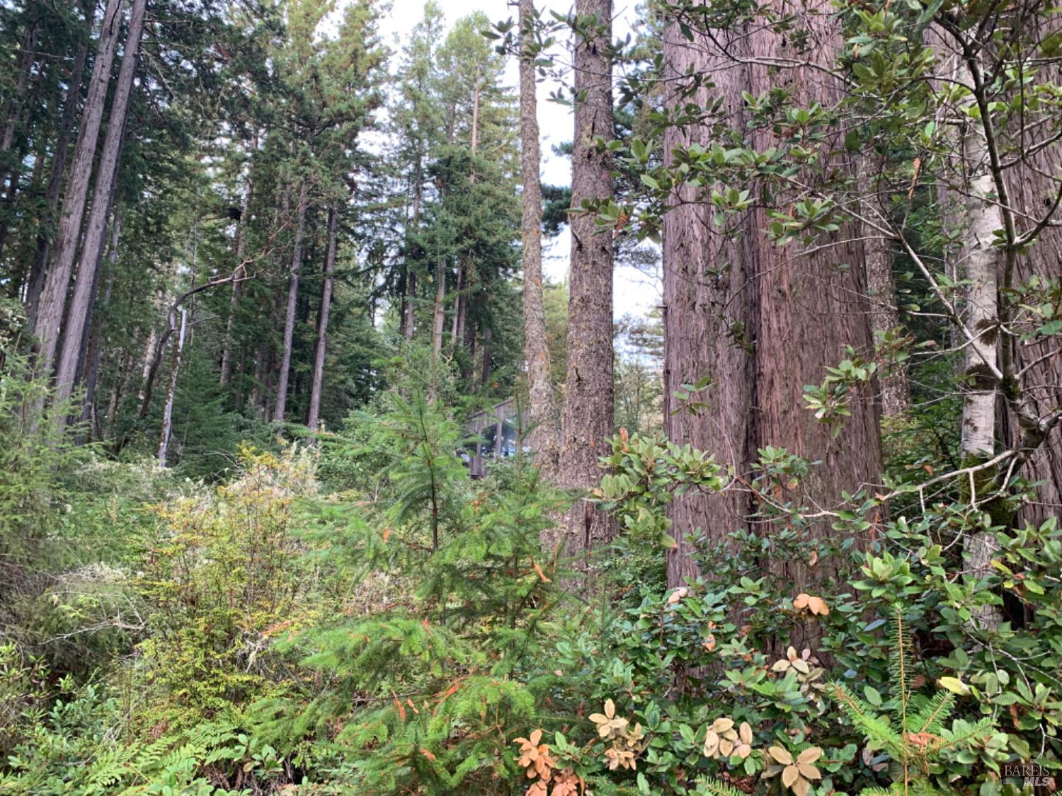 369 Big Tree Close Road The Sea Ranch CA 95497
