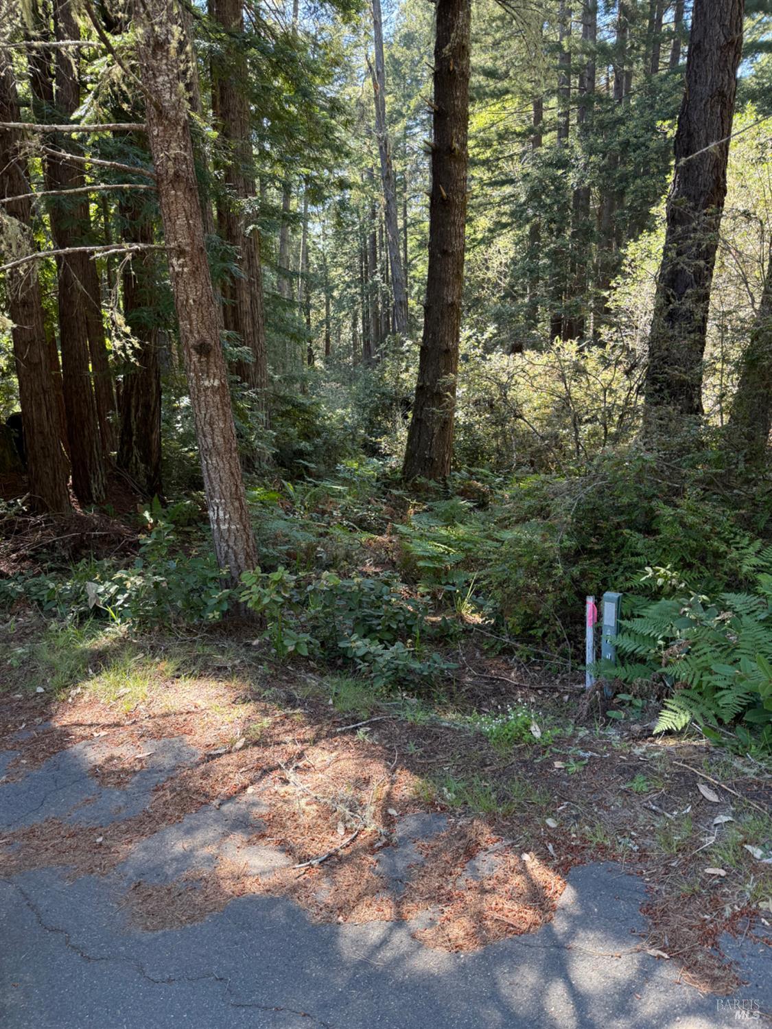 369 Big Tree Close Road The Sea Ranch CA 95497