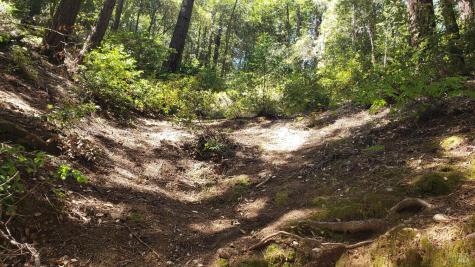 18190 Old Monte Rio Road Guerneville CA 95446