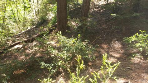 18190 Old Monte Rio Road Guerneville CA 95446