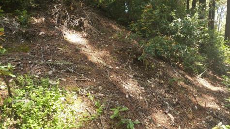 18190 Old Monte Rio Road Guerneville CA 95446