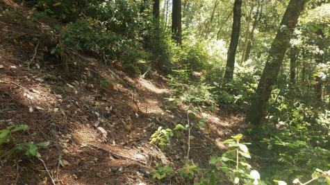 18190 Old Monte Rio Road Guerneville CA 95446