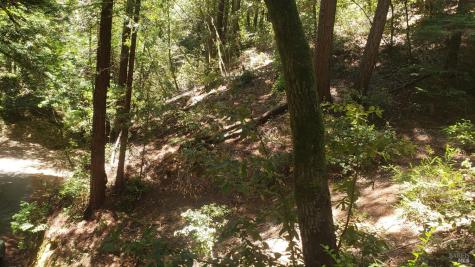 18190 Old Monte Rio Road Guerneville CA 95446