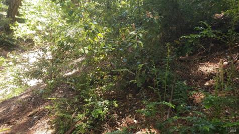 18190 Old Monte Rio Road Guerneville CA 95446