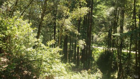 18190 Old Monte Rio Road Guerneville CA 95446