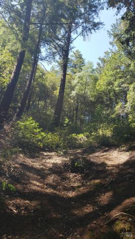 18190 Old Monte Rio Road Guerneville CA 95446