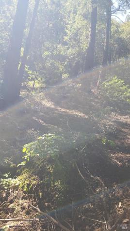 18190 Old Monte Rio Road Guerneville CA 95446