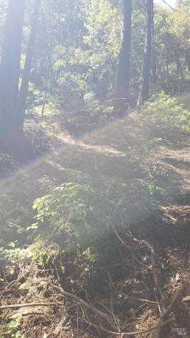 18190 Old Monte Rio Road Guerneville CA 95446