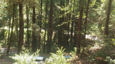 18190 Old Monte Rio Road Guerneville CA 95446