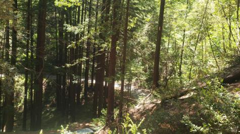 18190 Old Monte Rio Road Guerneville CA 95446