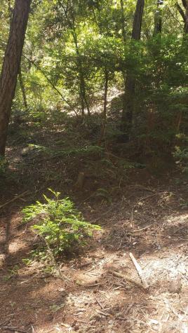 18190 Old Monte Rio Road Guerneville CA 95446