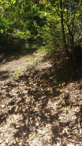 18190 Old Monte Rio Road Guerneville CA 95446