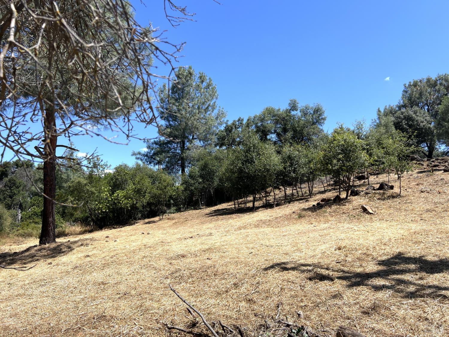 15686 23rd Avenue Clearlake CA 95422