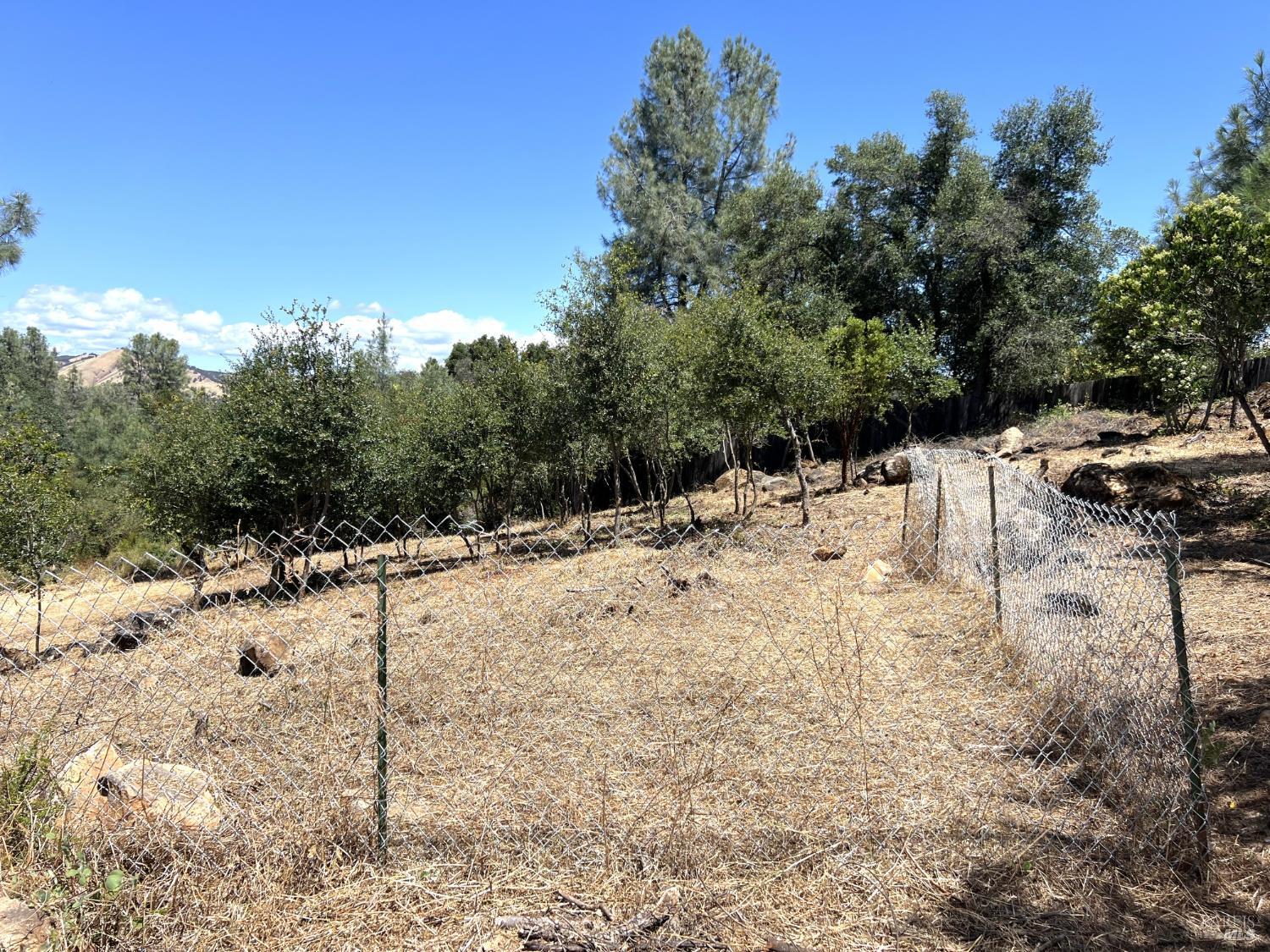 15686 23rd Avenue Clearlake CA 95422