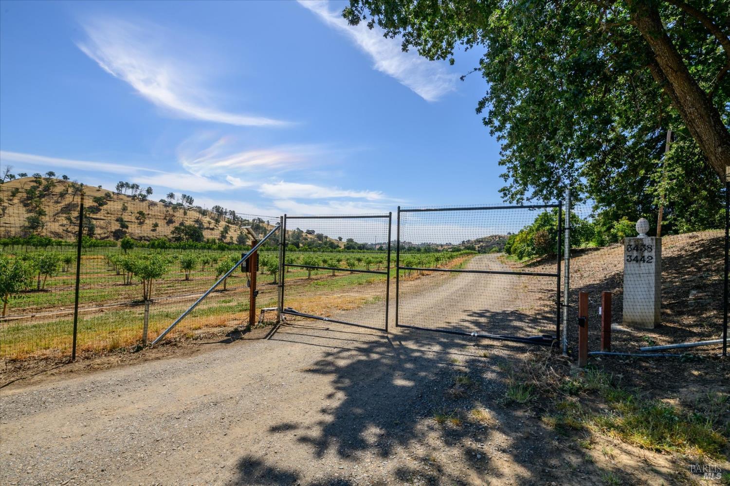 3442 Sackett Lane Winters CA 95694